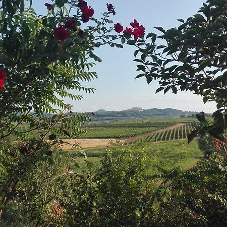Agriturismo La Chiesina Abbadia di Montepulciano ภายนอก รูปภาพ
