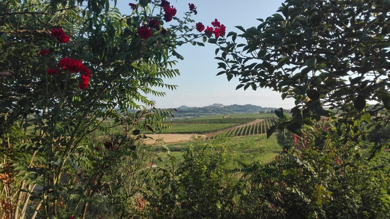 Agriturismo La Chiesina Abbadia di Montepulciano ภายนอก รูปภาพ