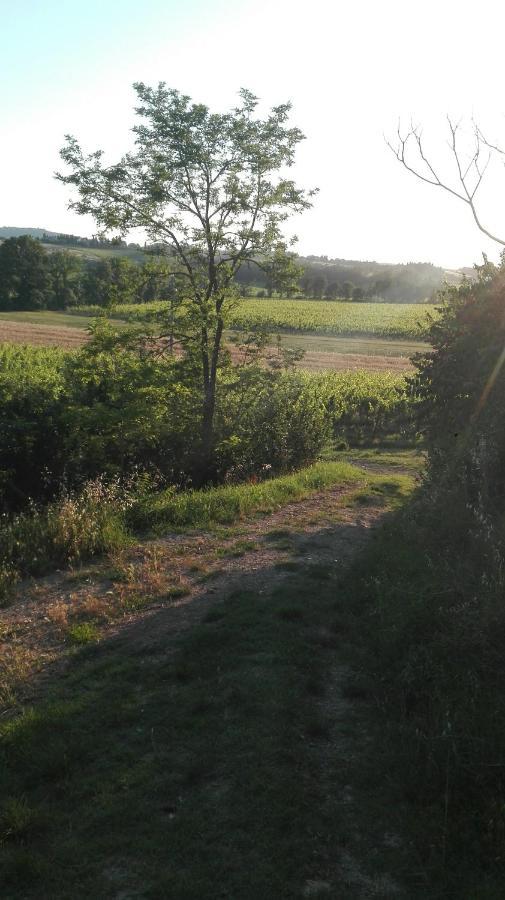 Agriturismo La Chiesina Abbadia di Montepulciano ภายนอก รูปภาพ