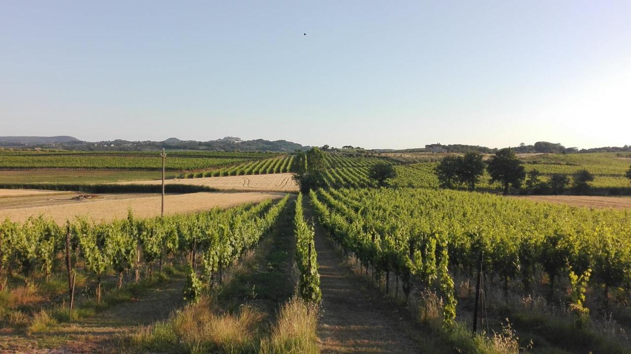Agriturismo La Chiesina Abbadia di Montepulciano ภายนอก รูปภาพ